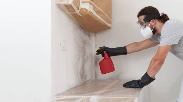 Professional Bathroom Mold Removal technician working in Washington Grove, MD